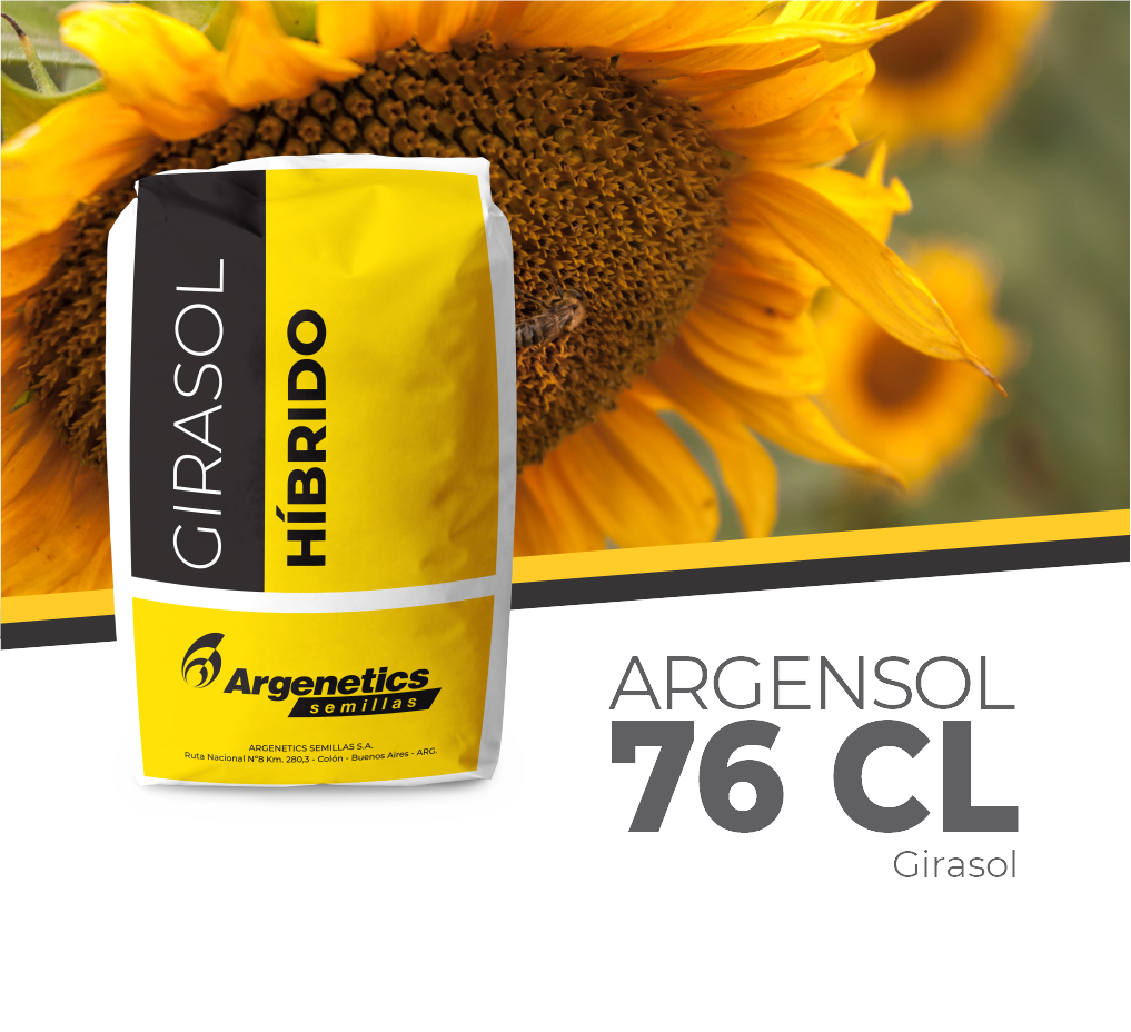 Girasol Argensol